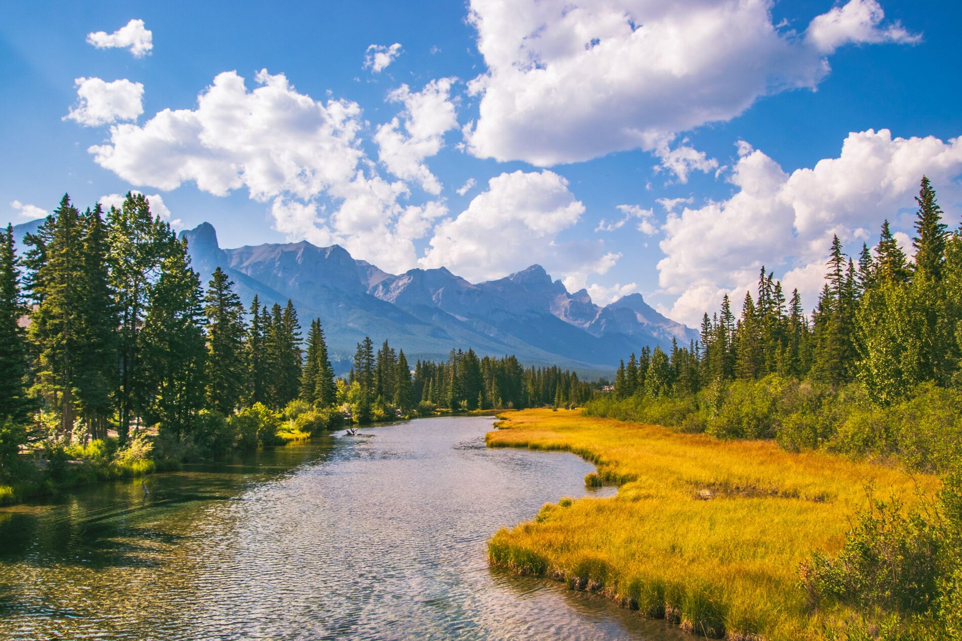A clear mountain river winding through green forest under a blue Rocky Mountain sky